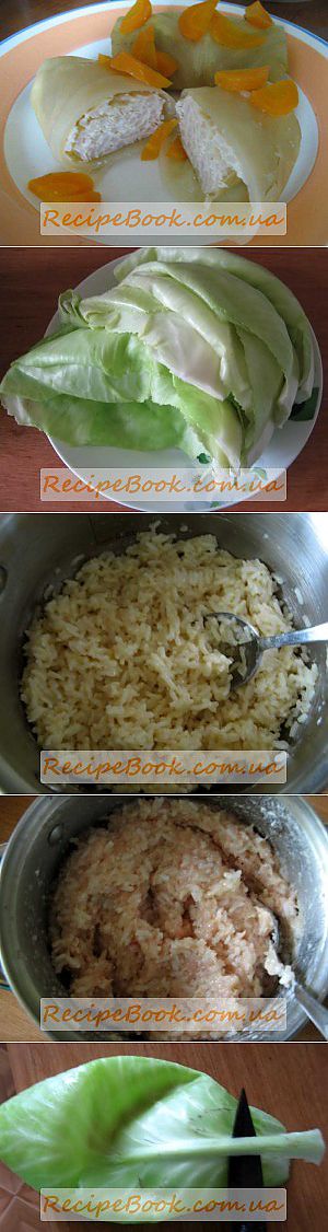 Голубцы - рецепт с фото | Блюда из фарша, Рецепты для пароварки, Детские рецепты | Блог Семейная кулинарная книга