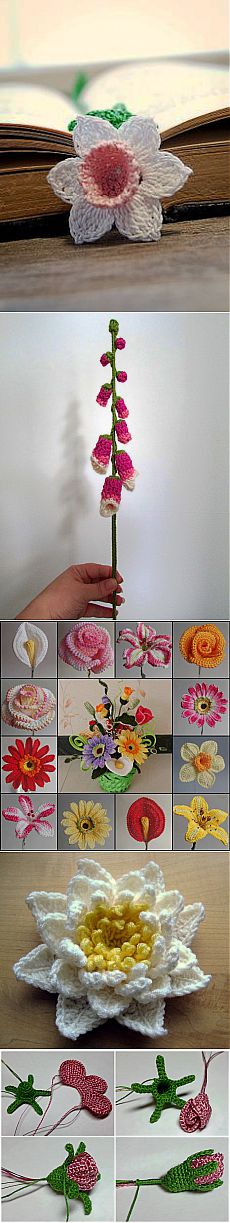 Вязание цветов крючком для начинающих - Женский журнал LadySpecial.ru : специально для женщин