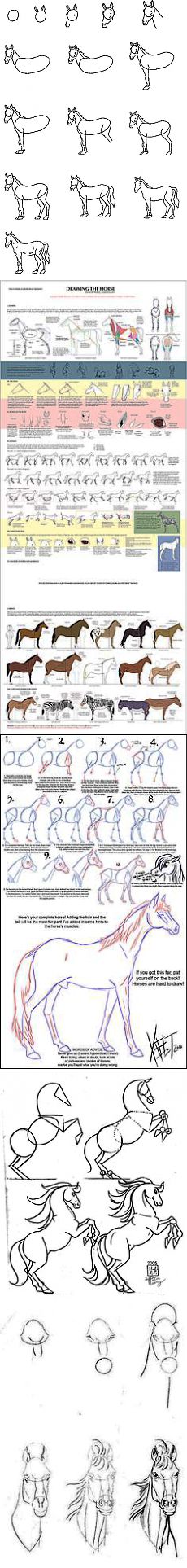 How to draw a horse (2) | учимся рисовать